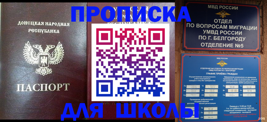прописка для работы в Зее