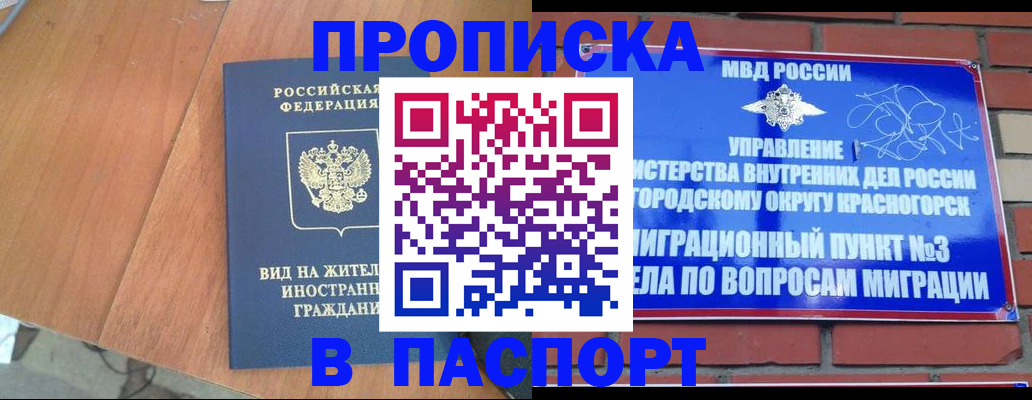 найти адрес прописки в Зее
